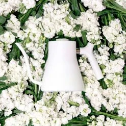 Fellow Stagg White Kettle